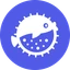 Puffer