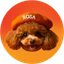 Rosa Inu