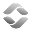 Silver Token